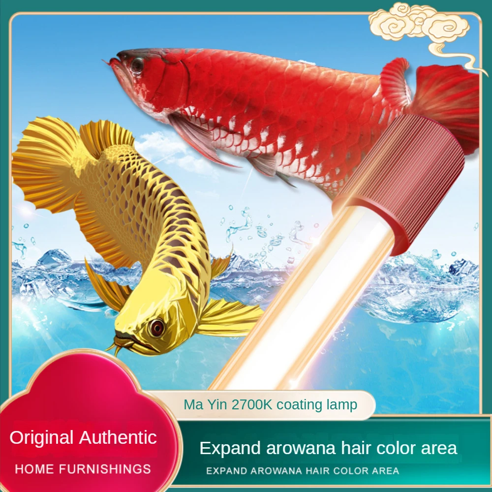 Aquarium Plant Yellowing - Luce per acquario Arowana in vetro,