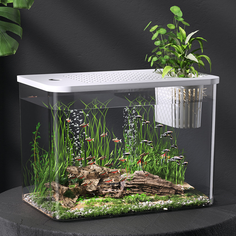 Planted Aquarium For Goldfish - Acquario in plastica con coperchio, mini