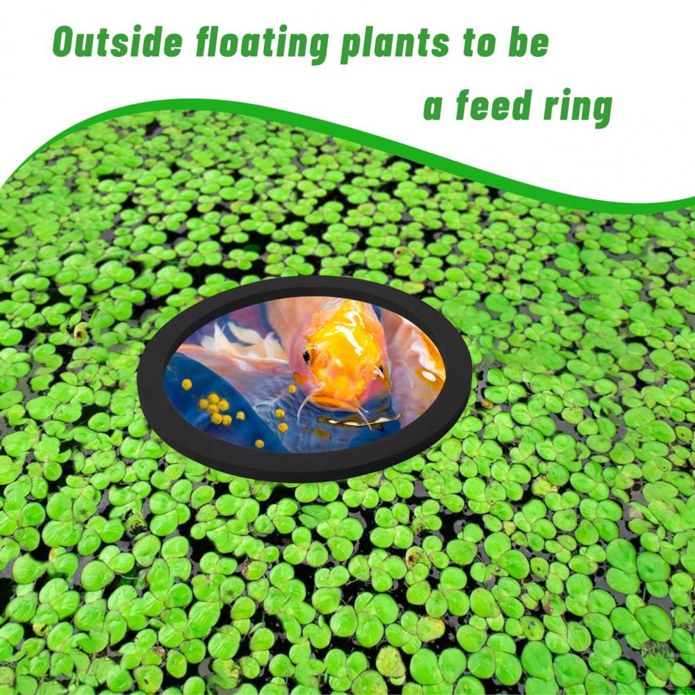 Planted Aquarium For Goldfish - Anello galleggiante in schiuma Eva per