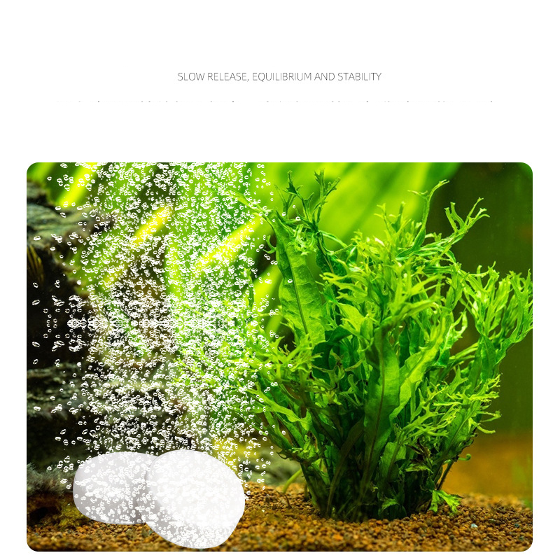 ISTA Fish Tank Aquarium CO2 Ta - Aquarium Plant Vitamins recensione e prezzo