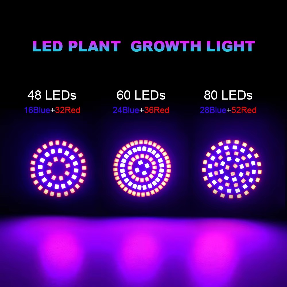2 pz/lotto LED Coltiva La Lamp - Aquarium Plant Root Tabs recensione e prezzo