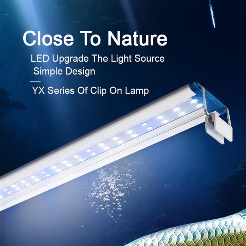 Clip impermeabile estensibile  - Aquarium Plant Display recensione e prezzo