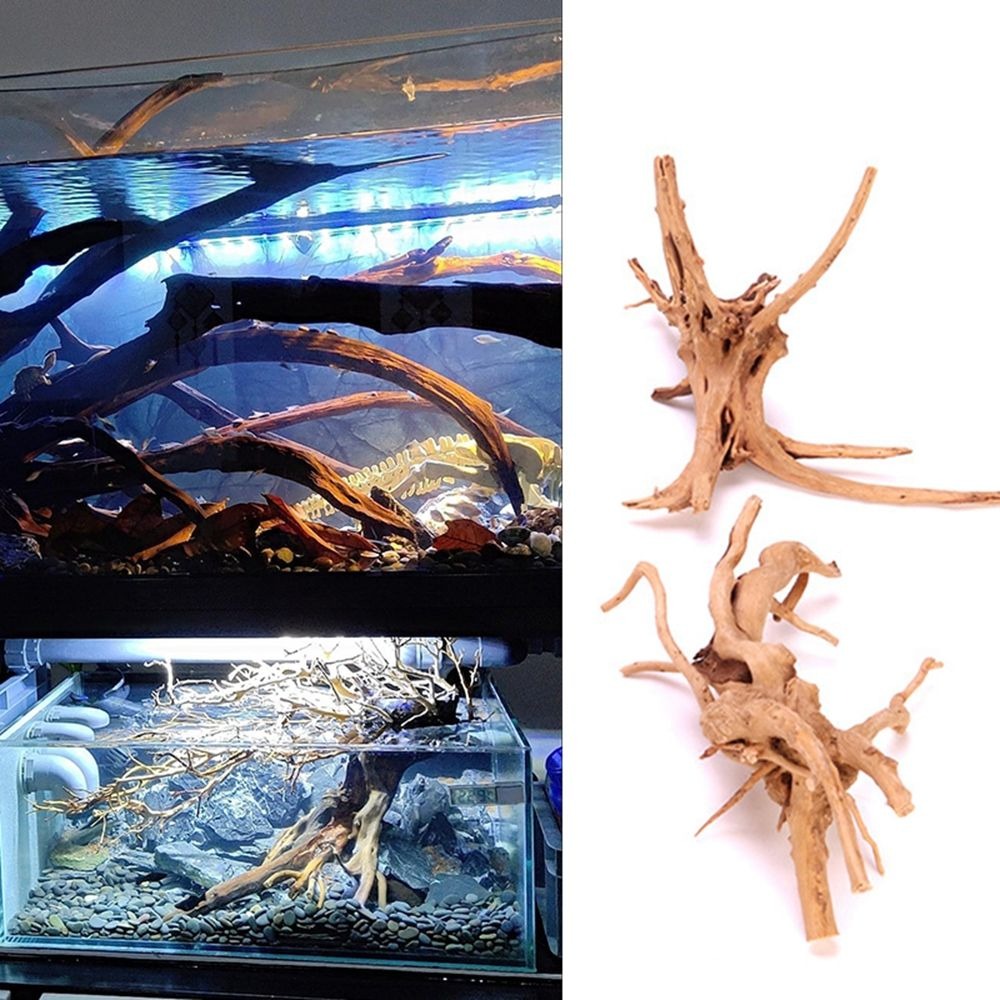Nuove decorazioni per acquario - Aquarium Plant Root Tabs recensione e prezzo