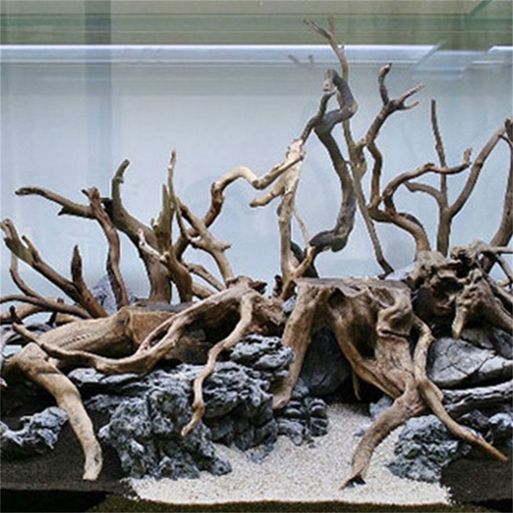 Nuove decorazioni per acquario - Aquarium Plant Root Tabs recensione e prezzo