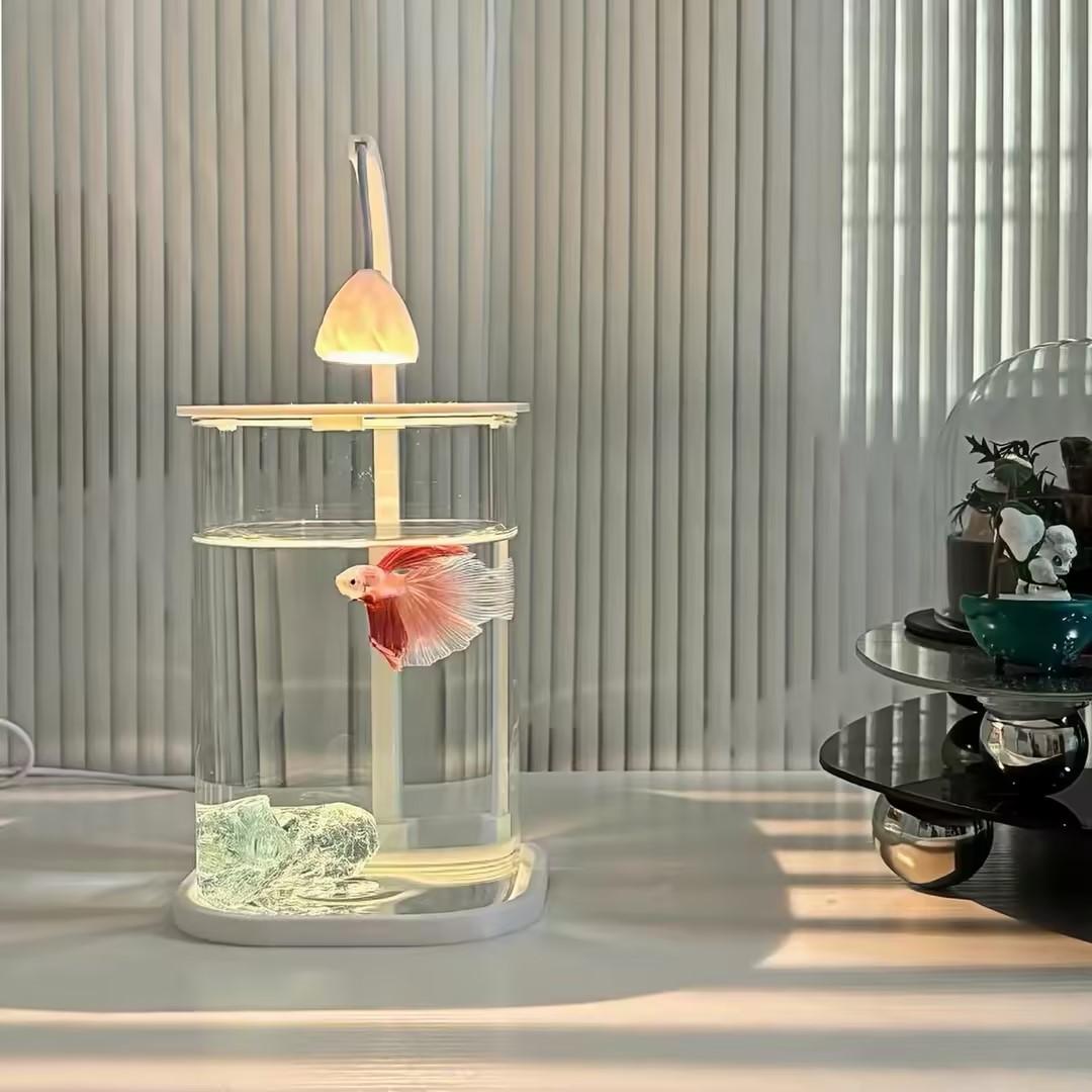 360 °   Acquario Panoramico Tr - Planted Aquarium For Goldfish recensione e prezzo