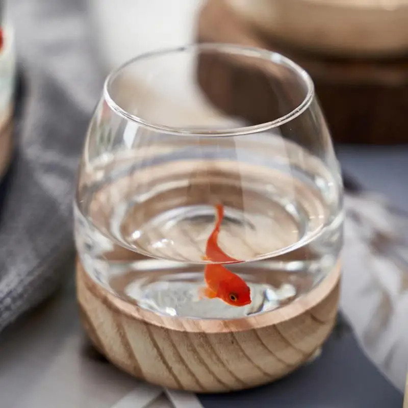 Acquario decorativo rotondo in - Planted Aquarium For Goldfish recensione e prezzo