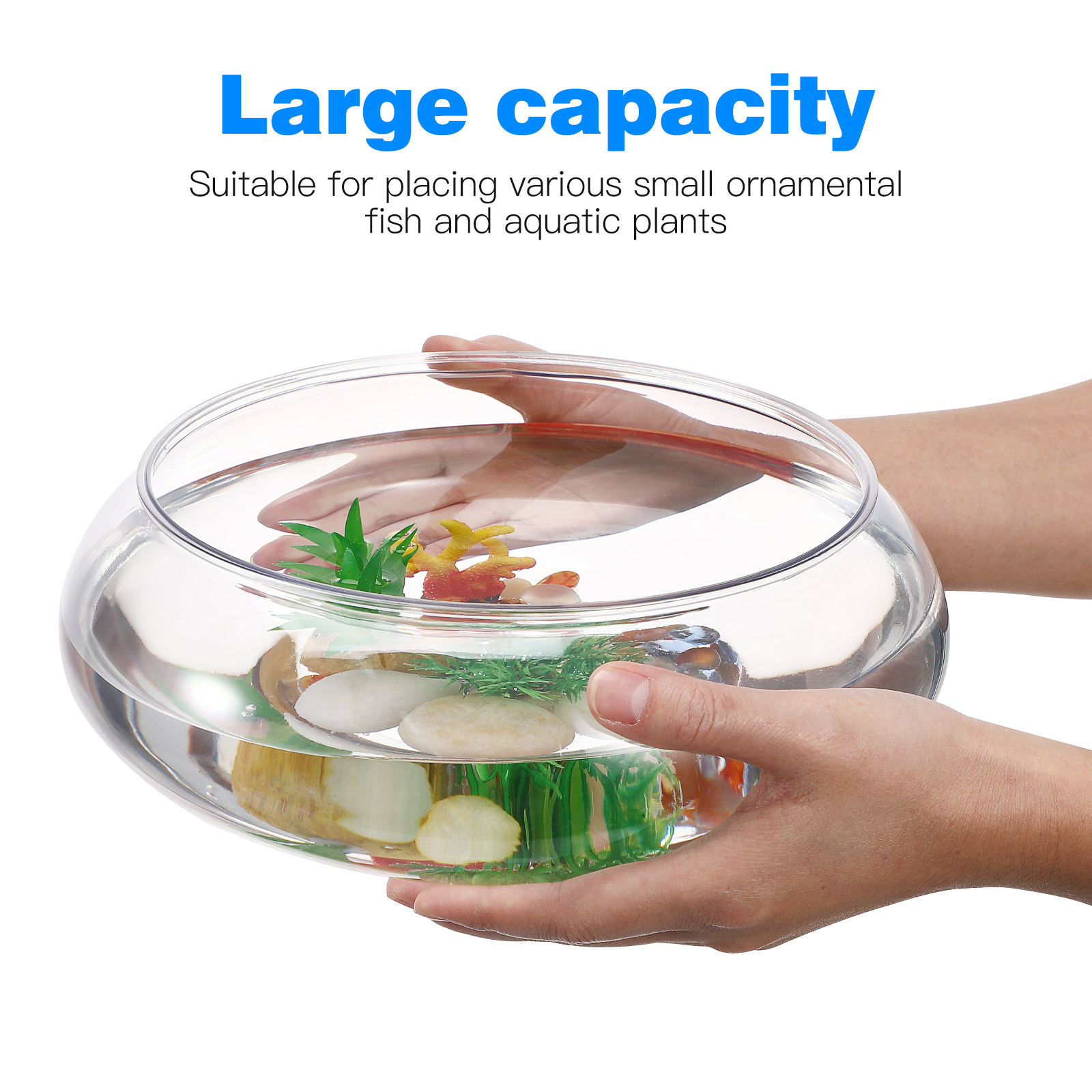 Acquario da tavolo trasparente - Planted Aquarium For Goldfish recensione e prezzo