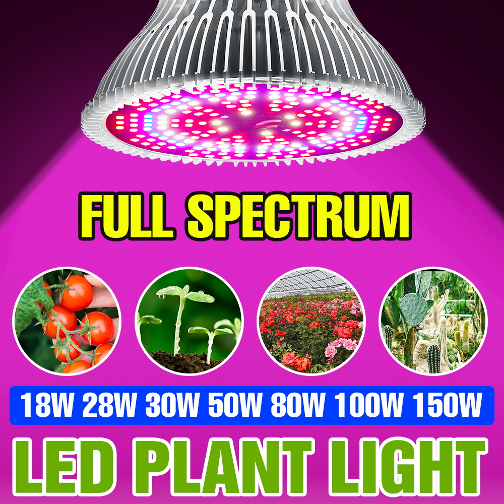 Lampadina LED E27 150W a Spett - Aquarium Plant Root Tabs recensione e prezzo