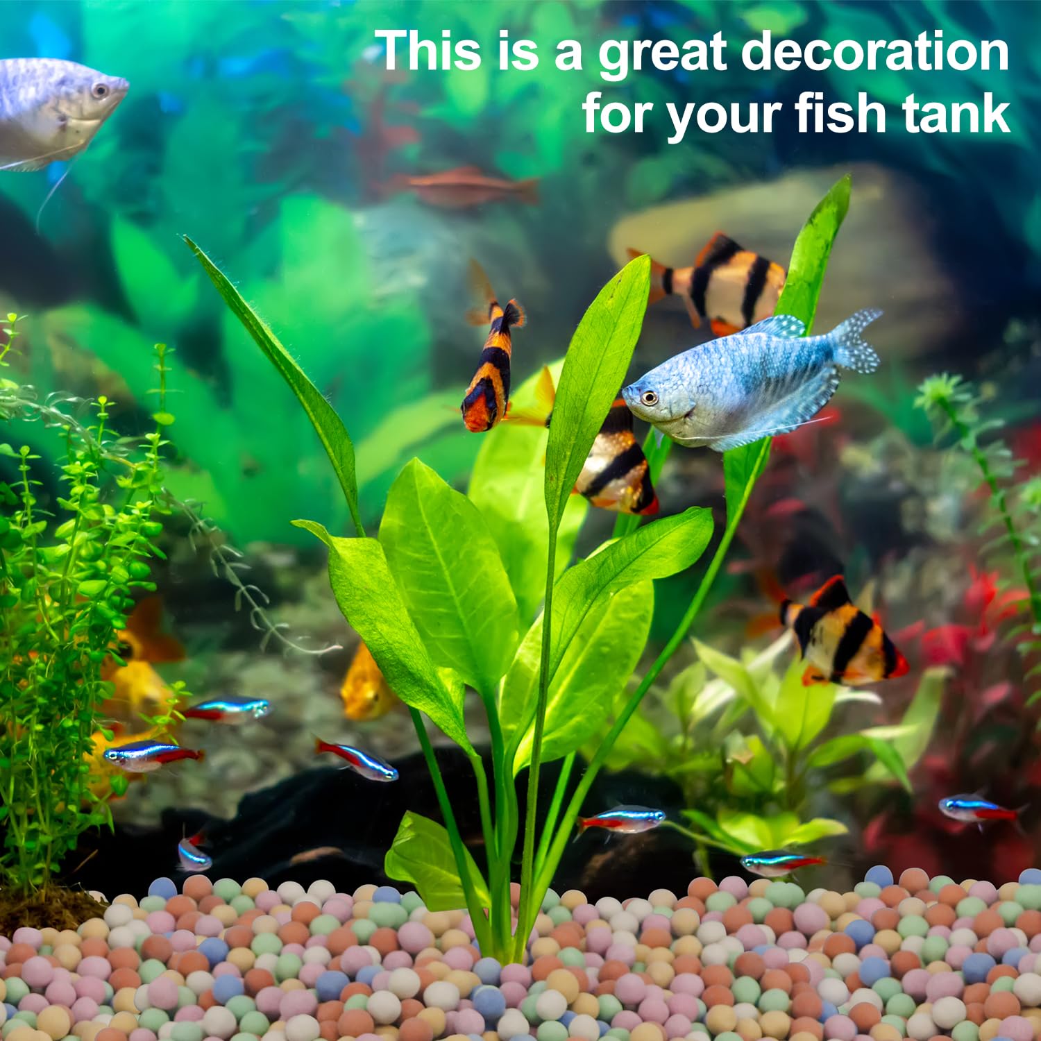 Pianta idroponica decorativa c - Aquarium Plant Vitamins recensione e prezzo