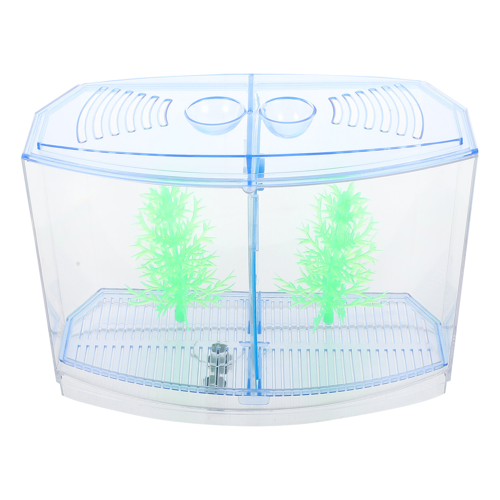 1 set di piccoli acquari da ta - Planted Aquarium For Goldfish recensione e prezzo