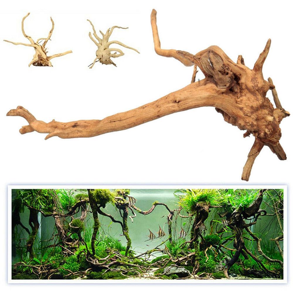 1 pz tronco di legno naturale  - Aquarium Plant Root Tabs recensione e prezzo