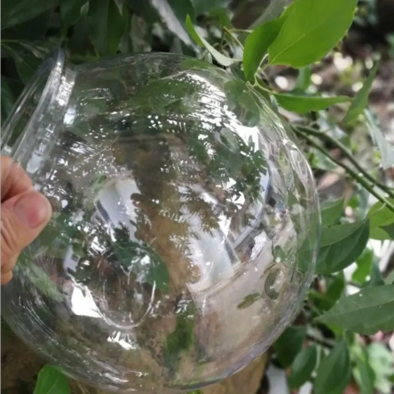 Acquario da tavolo per pesci r - Planted Aquarium For Goldfish recensione e prezzo