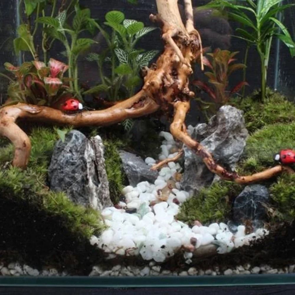 Tronco d'Albero Naturale, Legn - Aquarium Plant Root Tabs recensione e prezzo