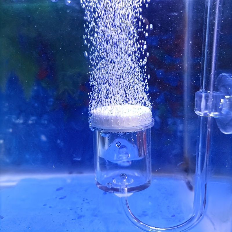 Acquario Vetro CO2 Atomizzator - Aquarium Plant No Co2 recensione e prezzo