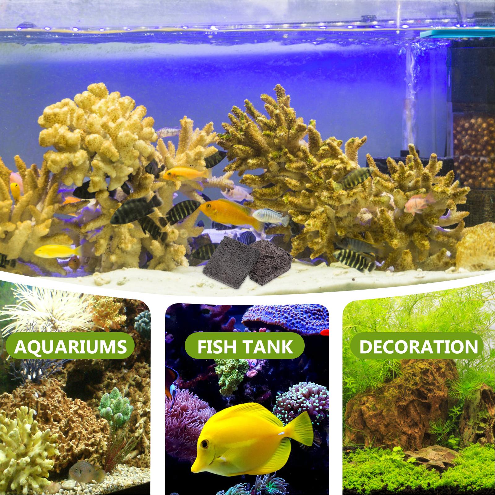   3 pezzi di pellicola per pia - Aquarium Plant Root Tabs recensione e prezzo