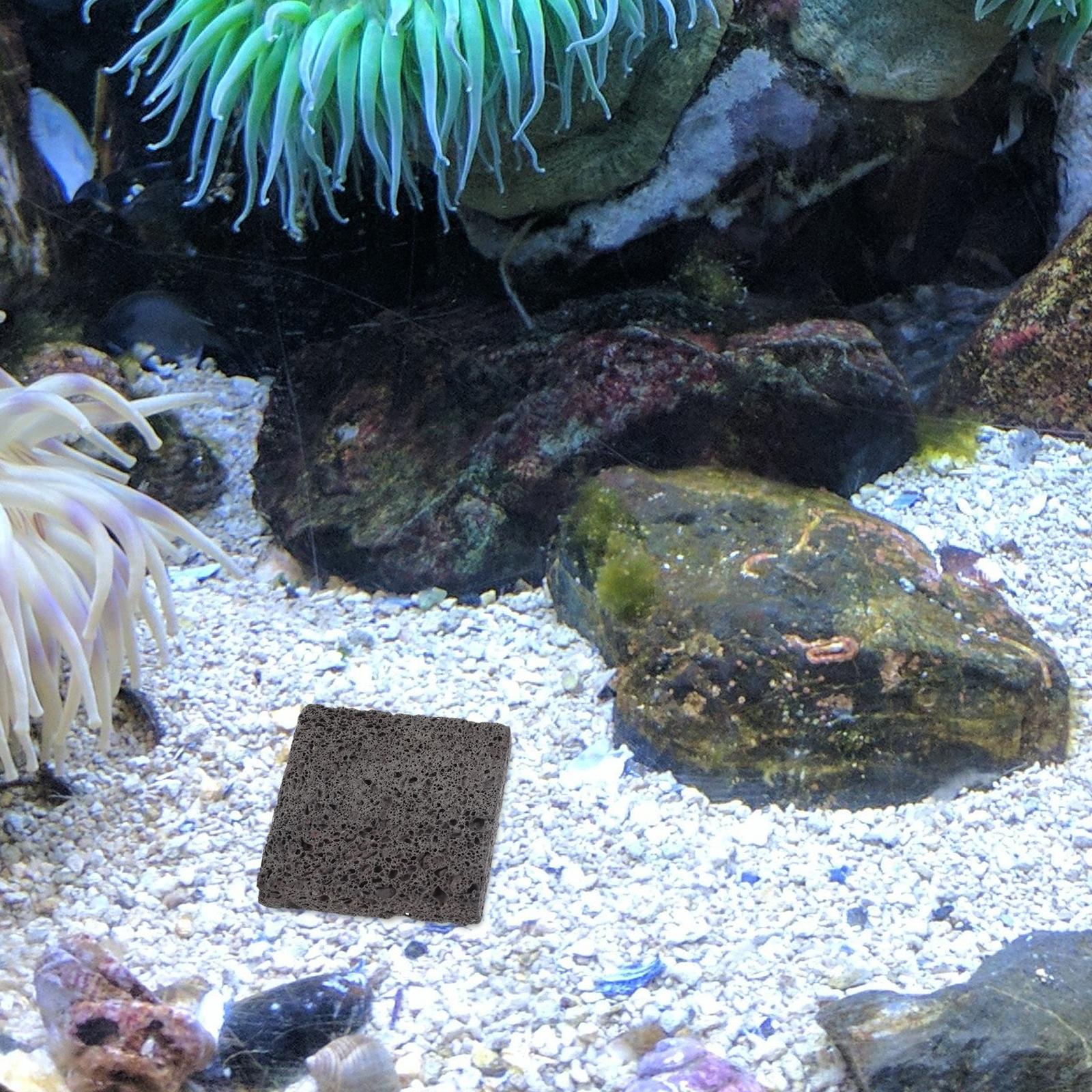   3 pezzi di pellicola per pia - Aquarium Plant Root Tabs recensione e prezzo