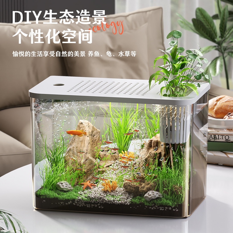 Acquario in plastica con coper - Planted Aquarium For Goldfish recensione e prezzo