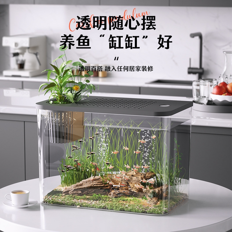 Acquario in plastica con coper - Planted Aquarium For Goldfish recensione e prezzo