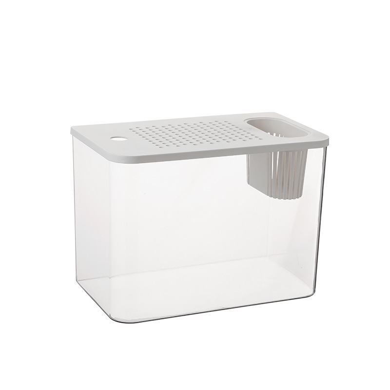 Acquario in plastica con coper - Planted Aquarium For Goldfish recensione e prezzo