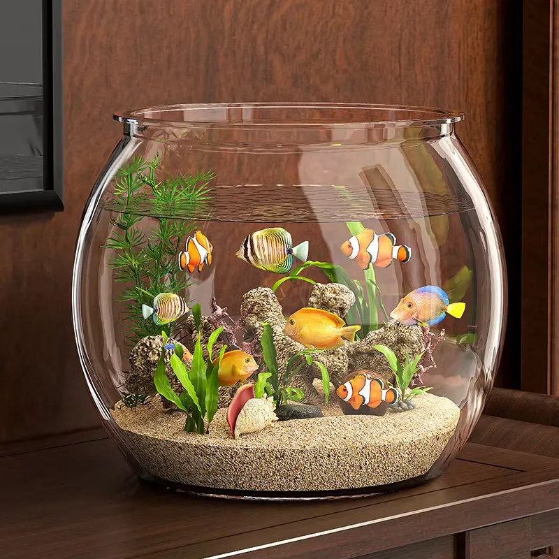 Acquario da Tavolo Compatto in - Planted Aquarium For Goldfish recensione e prezzo