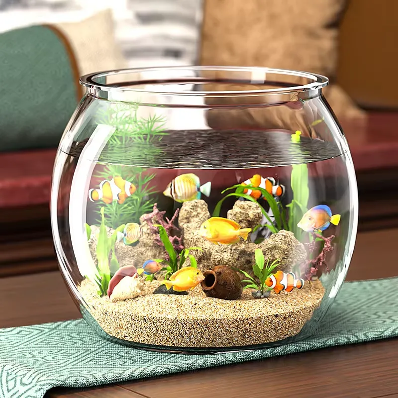 Acquario da Tavolo Compatto in - Planted Aquarium For Goldfish recensione e prezzo