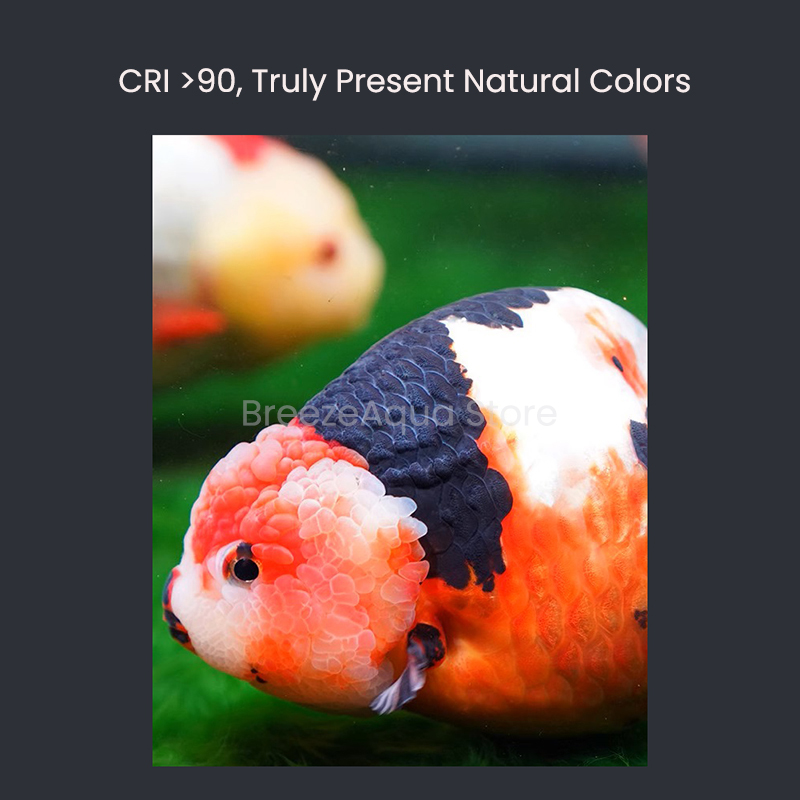 MAYIN Super Color 100W Acqua d - Planted Aquarium For Goldfish recensione e prezzo