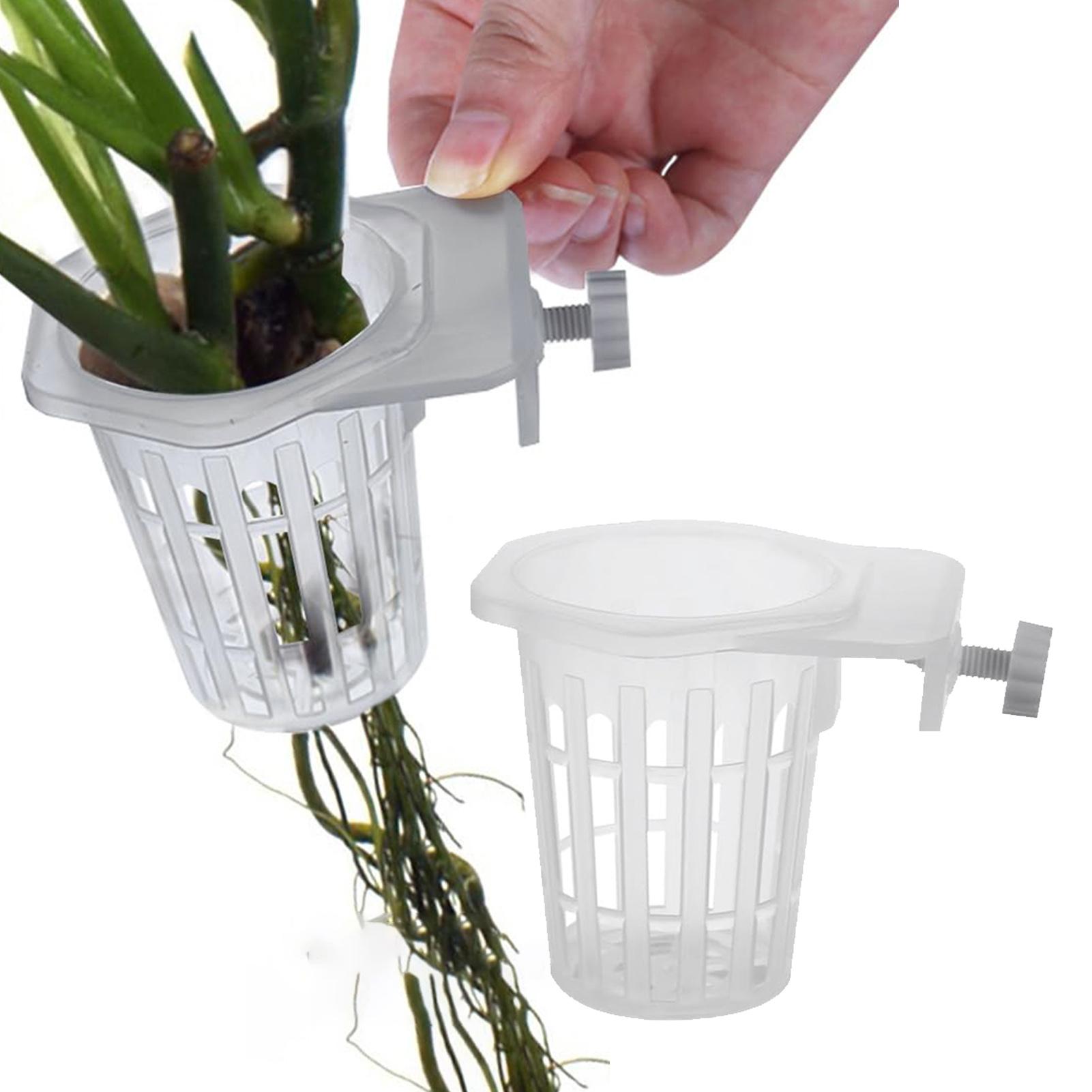 2 pezzi di supporti per piante - Planted Aquarium Tools recensione e prezzo