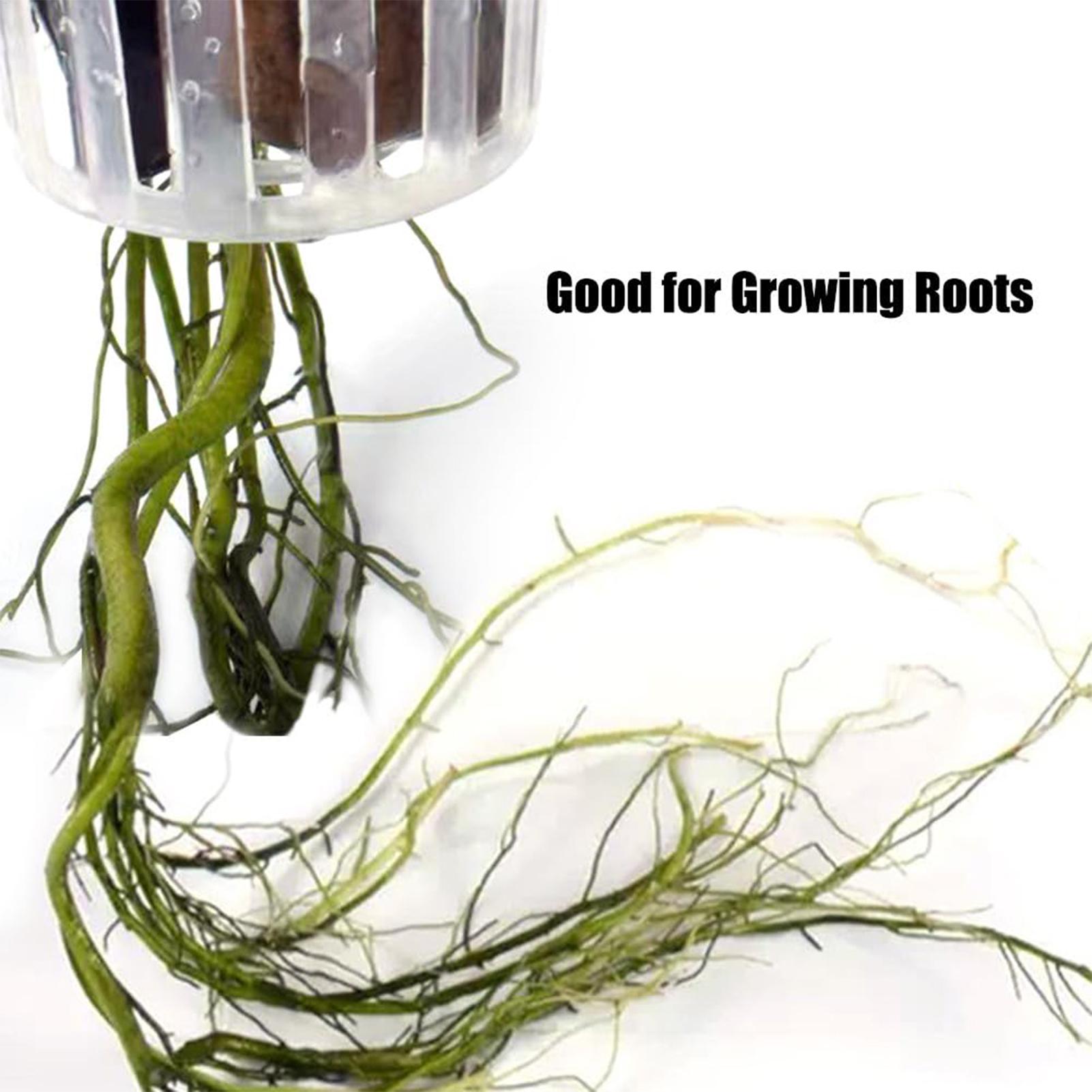 2 pezzi di supporti per piante - Planted Aquarium Tools recensione e prezzo