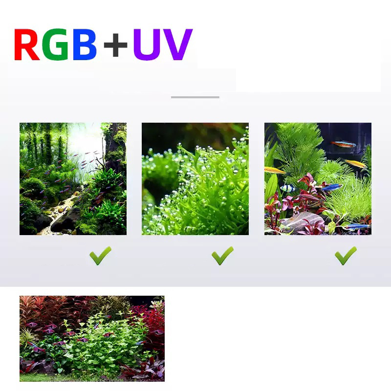 Illuminazione a LED 60 cm 80 c - Aquarium Plant Display recensione e prezzo