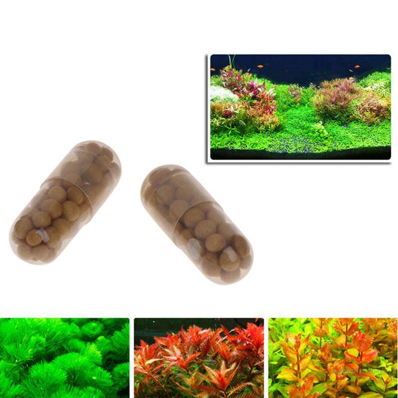 QX2E Acquario Pianta Viva Fert - Aquarium Plant Root Tabs recensione e prezzo