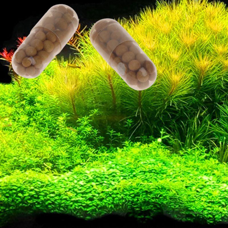 QX2E Acquario Pianta Viva Fert - Aquarium Plant Root Tabs recensione e prezzo