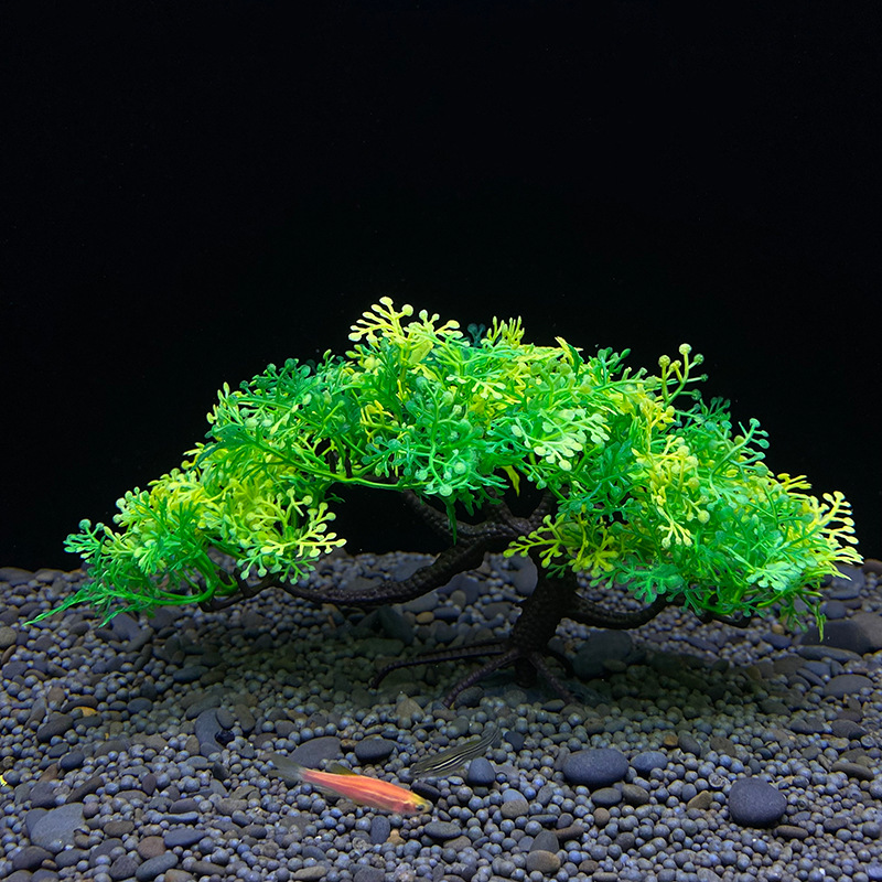 Albero bonsai per acquario, pi - Planted Aquarium For Goldfish recensione e prezzo