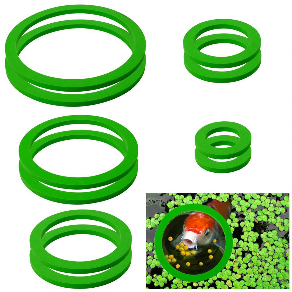 Anello galleggiante in schiuma - Planted Aquarium For Goldfish recensione e prezzo