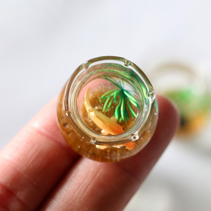 1Pc 1:12 Mini casa delle bambo - Planted Aquarium Photos recensione e prezzo
