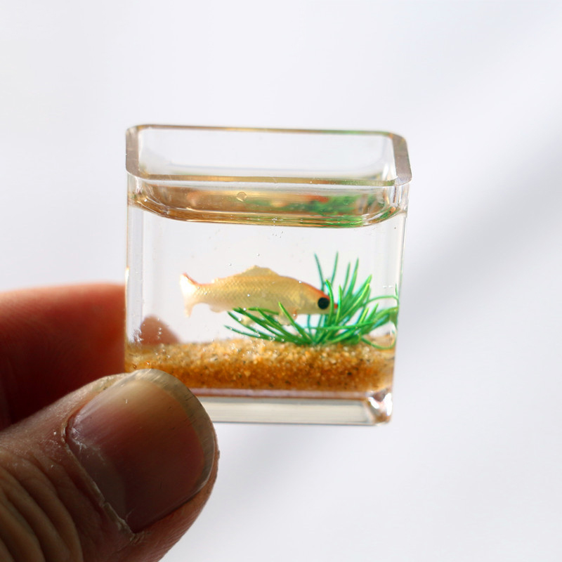 1Pc 1:12 Mini casa delle bambo - Planted Aquarium Photos recensione e prezzo