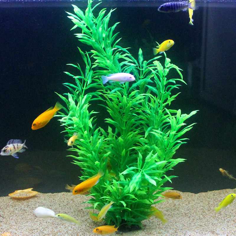 50CM Acquario artificiale Pian - Aquarium Plant Display recensione e prezzo