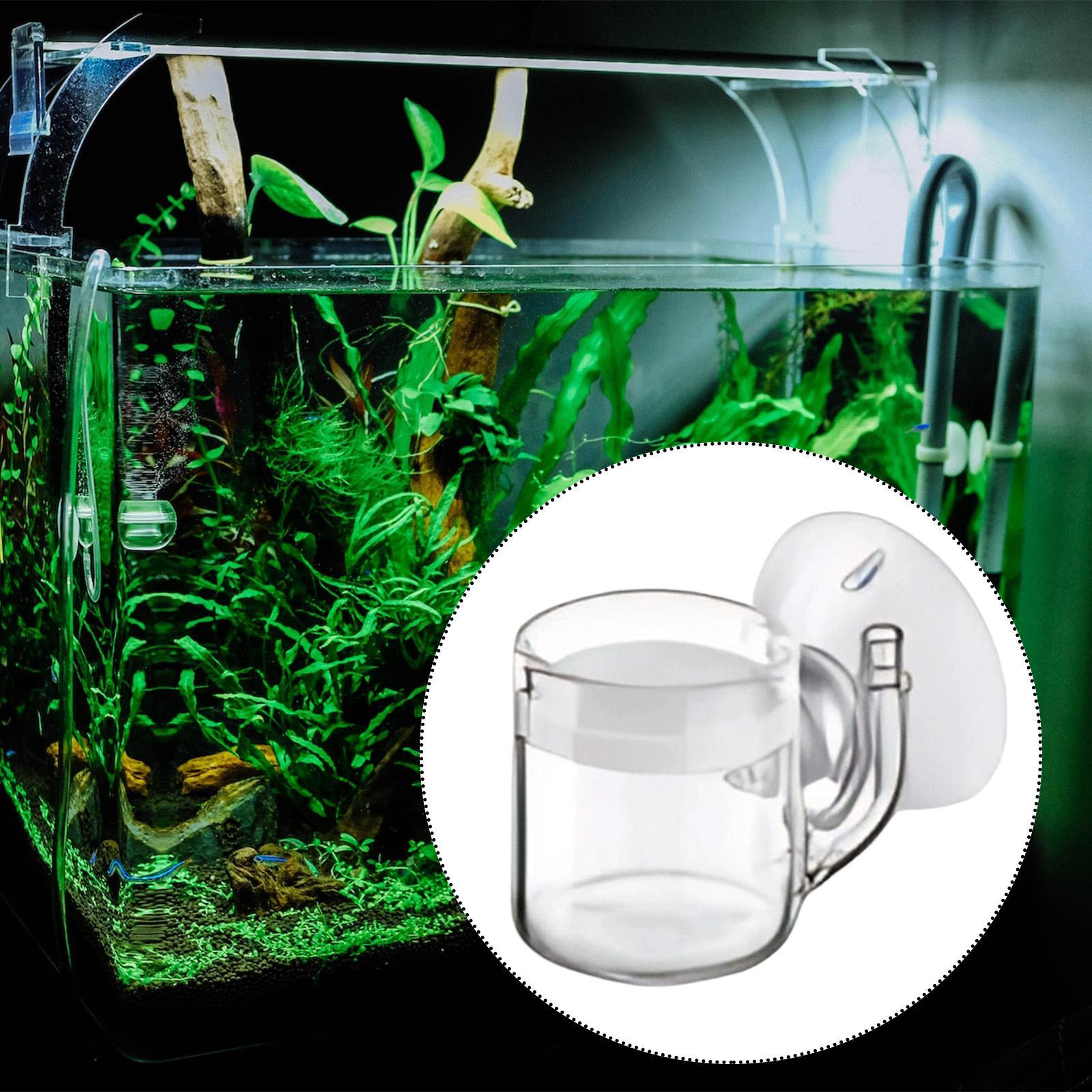Diffusore di CO2 a Fondo Piatt - Aquarium Plant No Co2 recensione e prezzo